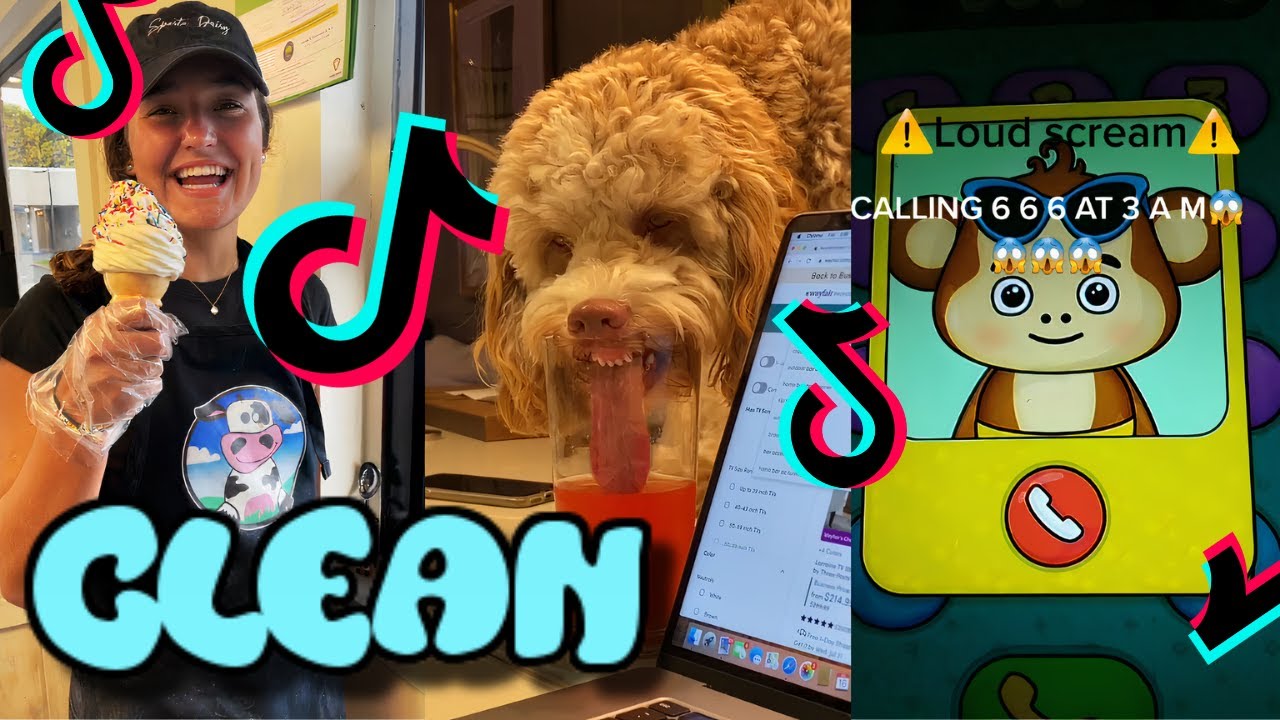 clean tiktoks that knew what the dog was doin | Clean Videos