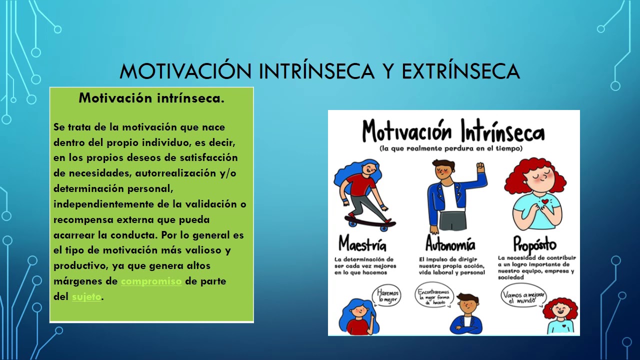Motivacion Intrinseca y Extrinseca