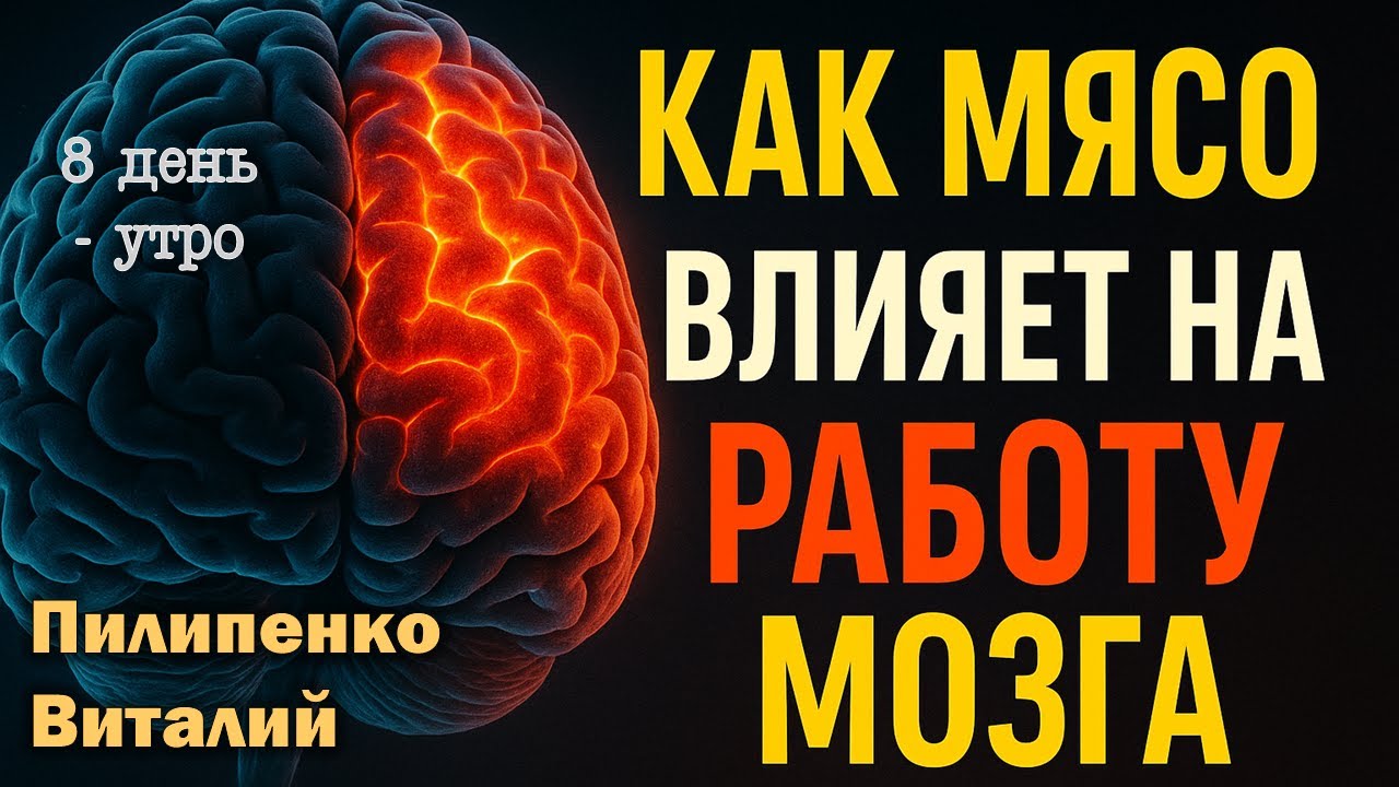 Как мясо влияет на мозг? Утреннее вдохновение 8-й день. Пилипенко Виталий