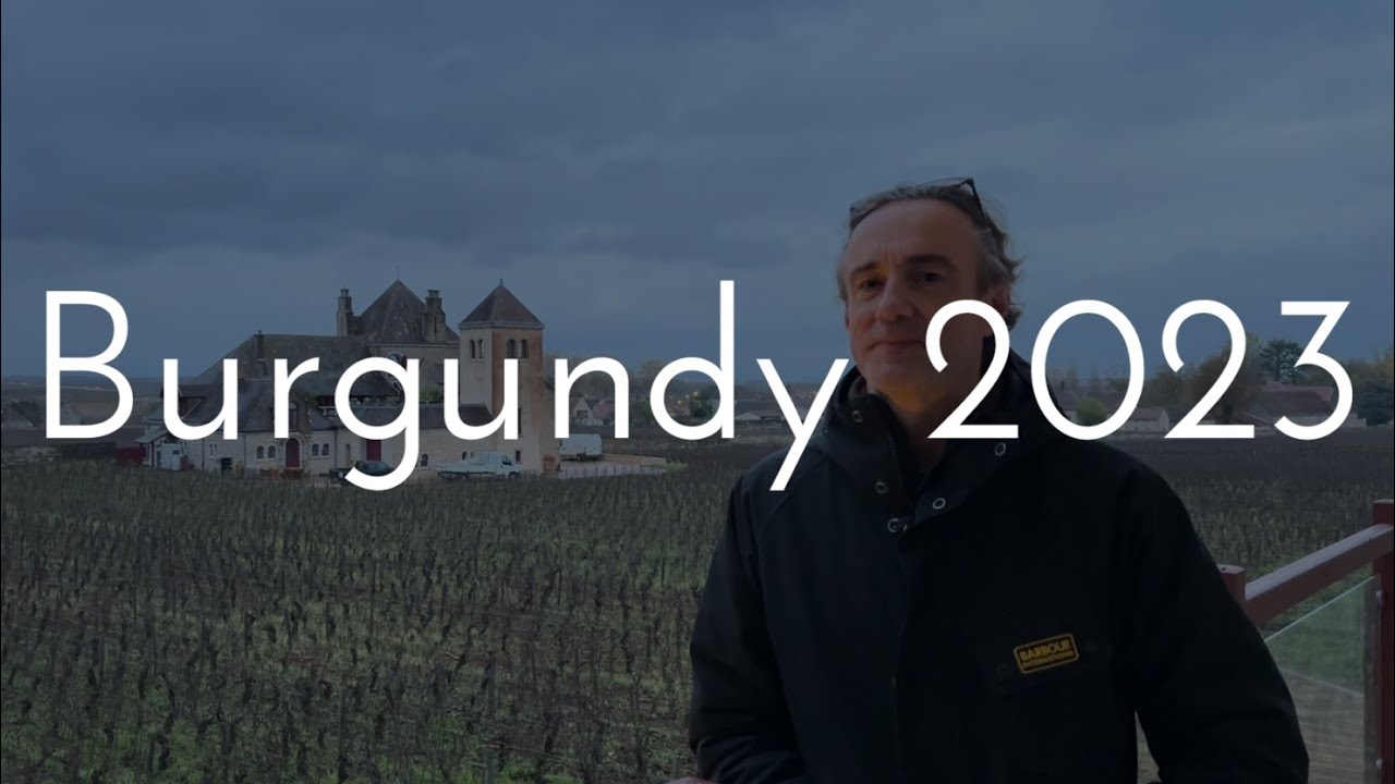 A View From Vougeot - Burgundy 2023