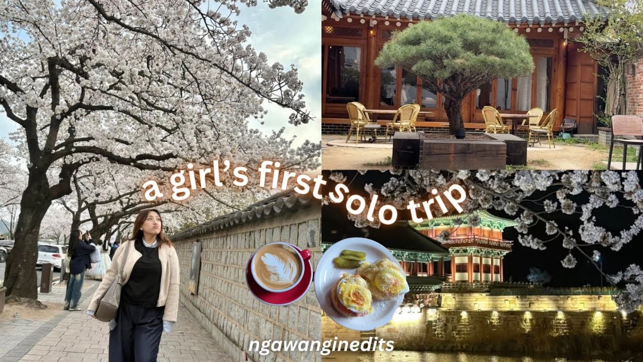 🇰🇷 my life's first solo trip (gyeongju & daegu)