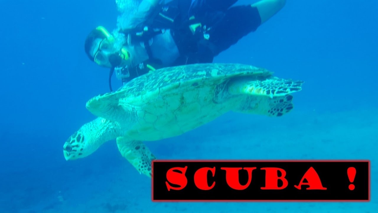 SCUBA VLOG - Wreck Diving with Crush !
