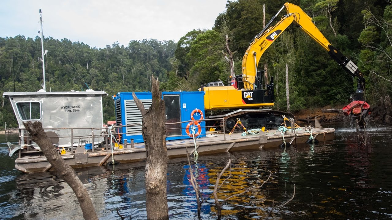Hydrowood