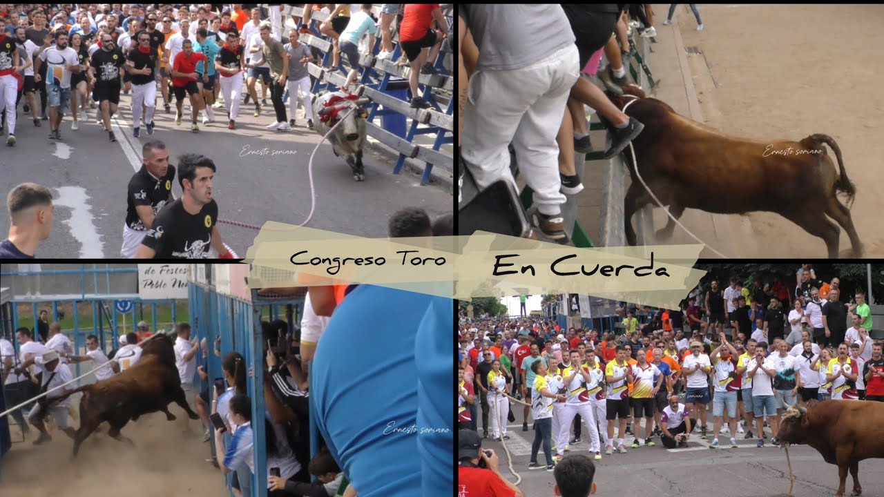 Congreso de la Cuerda 2025 primera exhibición - La Rapita - 27 Septiembre 2025