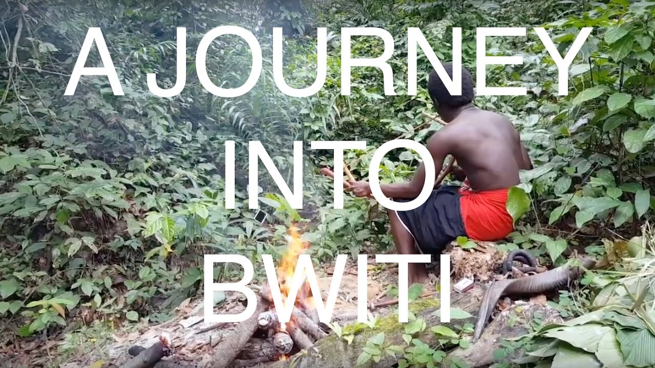 A Journey into Bwiti