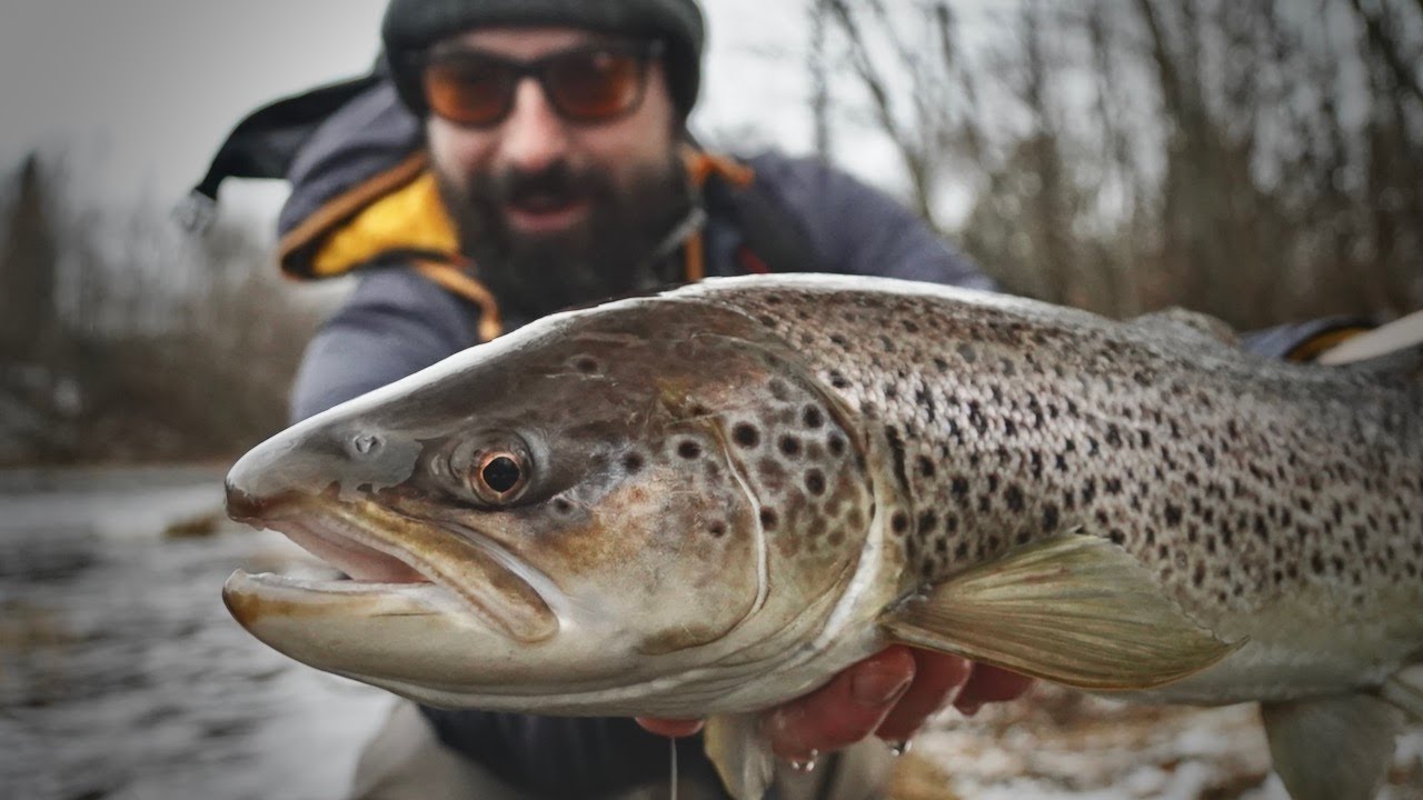 Baltic Salmon & Sea Trout Double-Handed Odyssey
