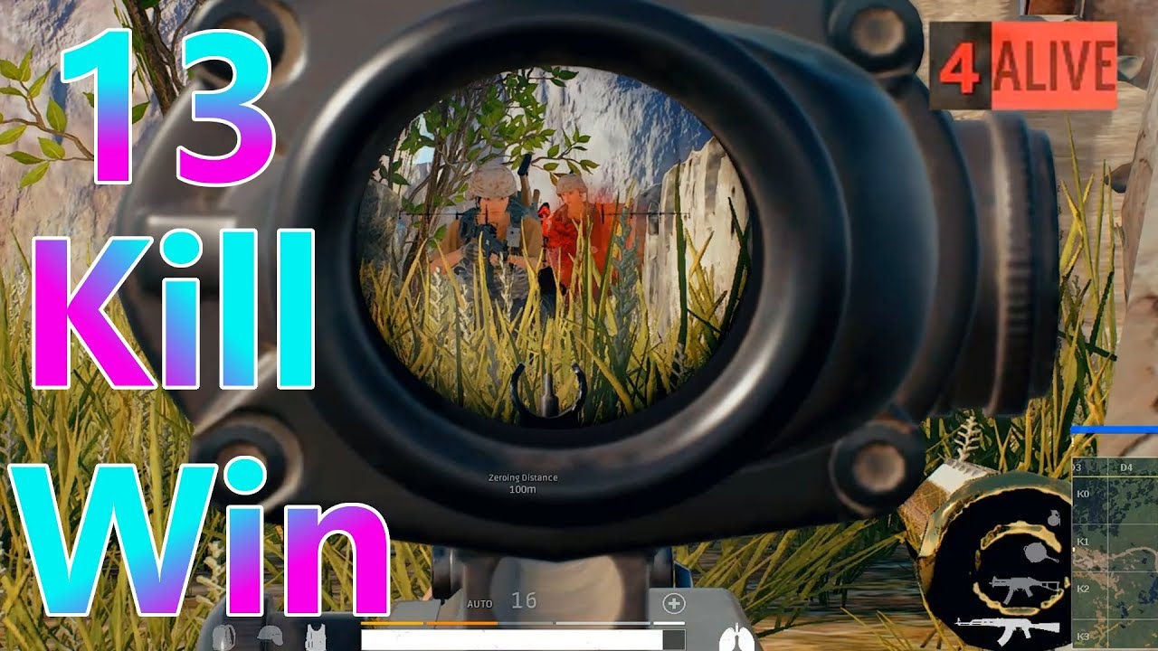 13 KILL Chicken Dinner!