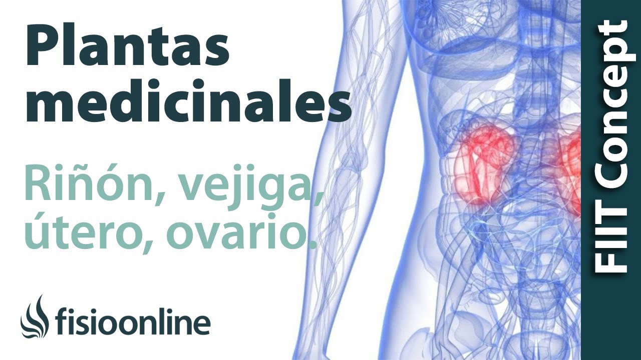 Todas las plantas medicinales para riñón-vejiga, útero y ovarios-próstata
