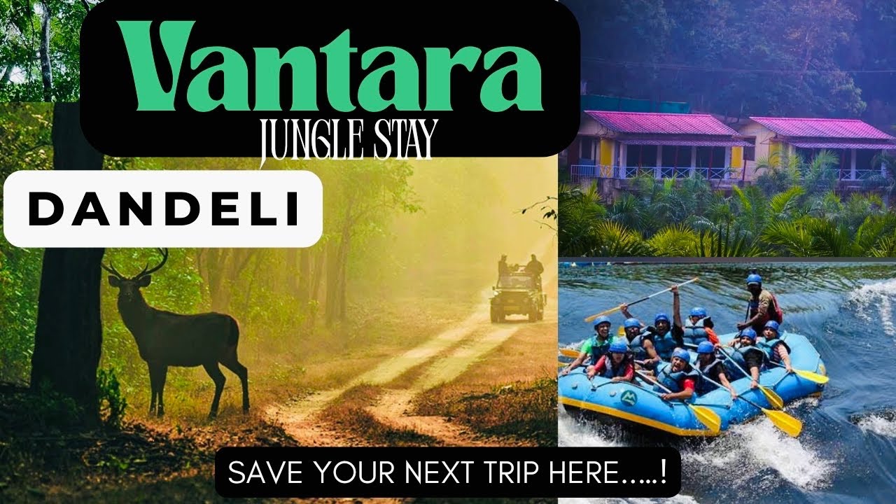 VANTARA Jungle stay Resort DANDELI Complete tour | ‘Experience the Jungle’ 