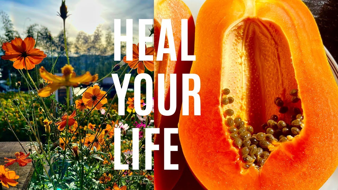 Louise Hay: HEAL YOUR LIFE ~ Life Changing Audio ~ No Ads