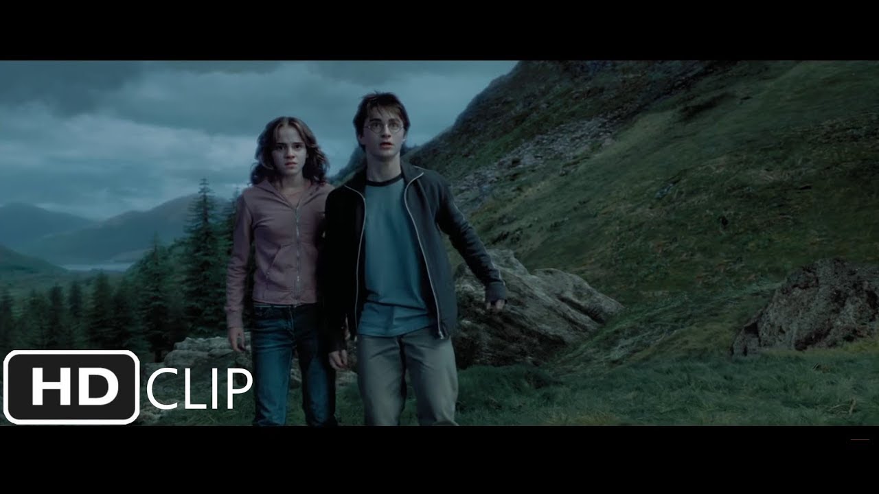 Whomping Willow Attack | Harry Potter and the Prisoner of Azkaban