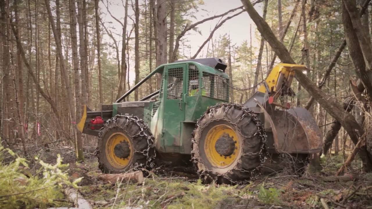 Abattage Manuel Sécuritaire - Section 12 - Arbres problèmatiques