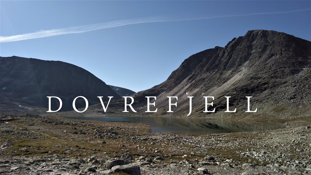 Dovrefjell Nationalpark - Solo Hiking | Wild Camping and Trekking in Norway National Park | 4K