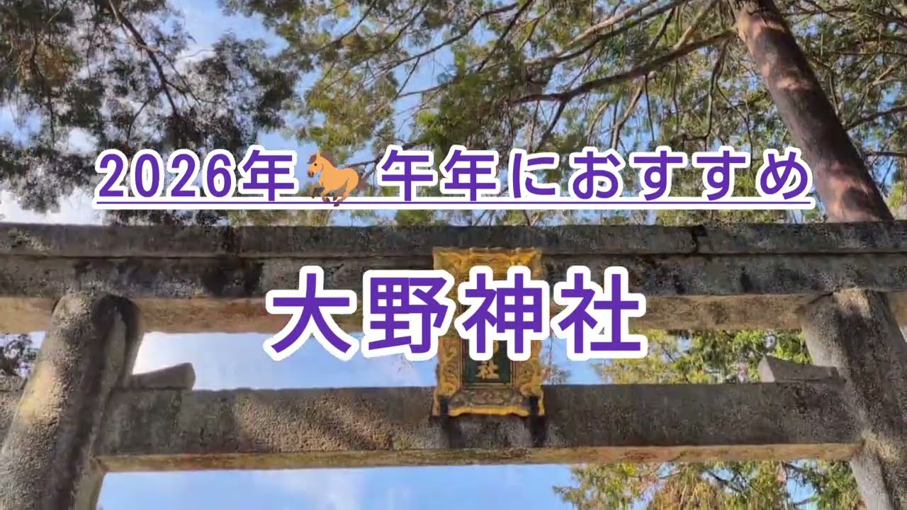 2026年🐎午年におすすめ🌿大野神社⛩️#遠隔参拝 #御朱印 #滋賀県栗東市 #馬の神社