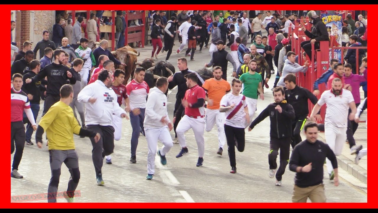 ALFARO ( LA RIOJA ) MATINAL ENCIERRO Y PLAZA ( DOMINGO 14 MAYO 2023 ) GANAD.TOROPASION