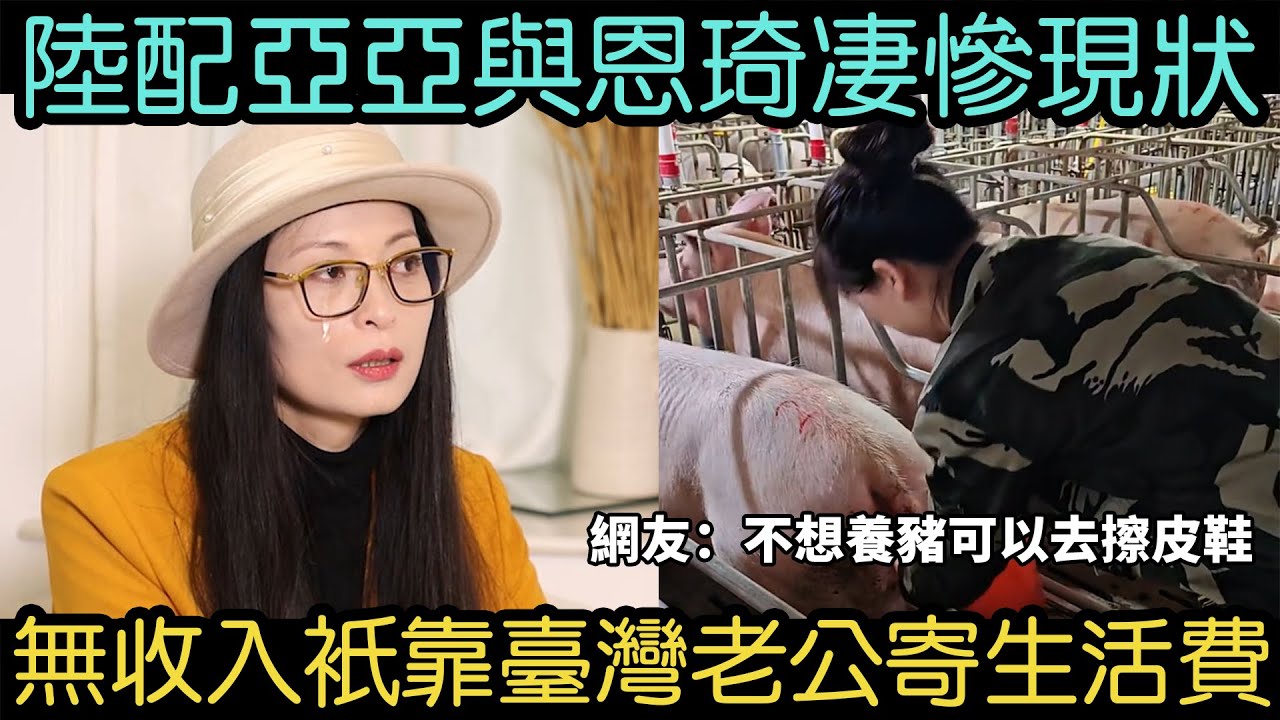 陸配亞亞（劉振亞）、恩琦、小薇淒慘現狀，銷聲匿跡後首次露面，網友建議亞亞去養豬，恩琦去擦皮鞋 ｜台灣 ｜台湾 ｜臺