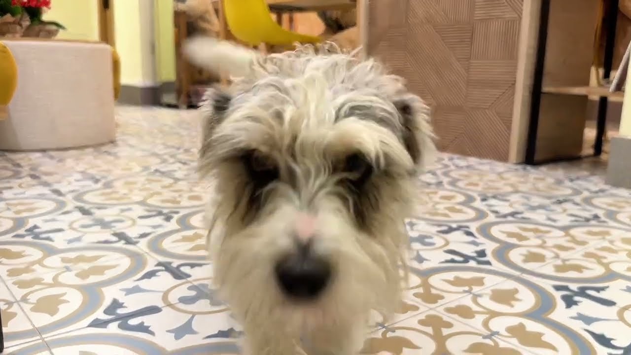 Growers Boutique Huelva