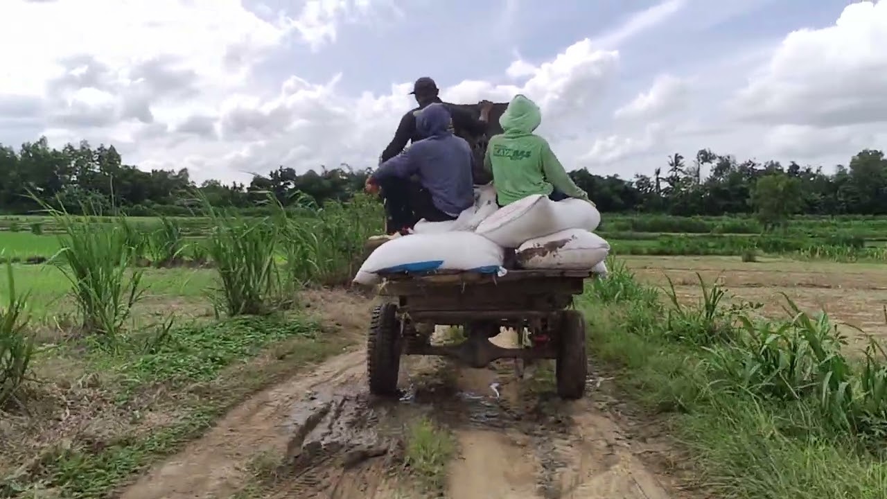 LOKASI SELANJUTNYA KE SUMBER AGUNG BLOK SUROBOYO.
