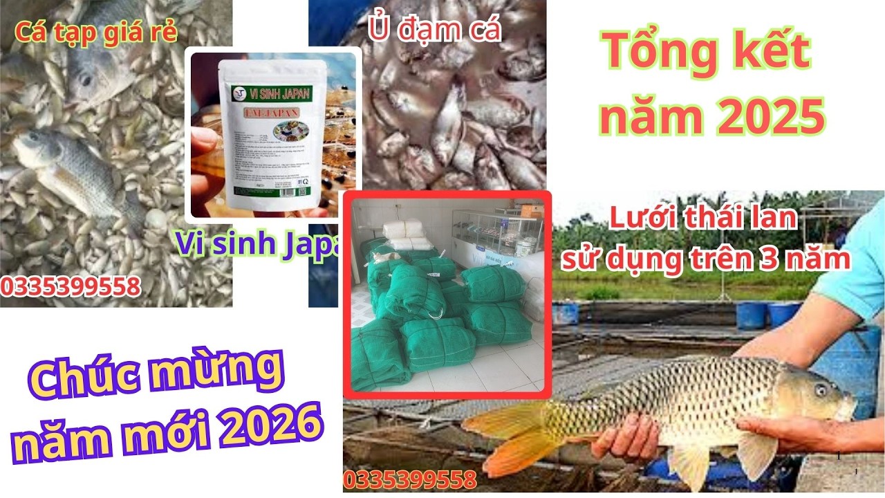 Tổng kết cuối năm 2025, phân 2