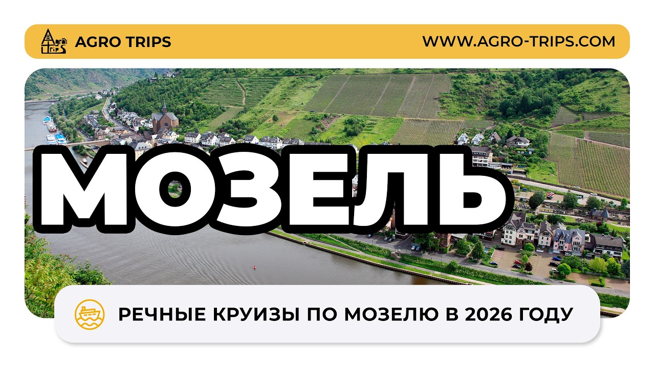 Рислинг, Замки и Комфорт: Лучшие путешествия по Мозелю