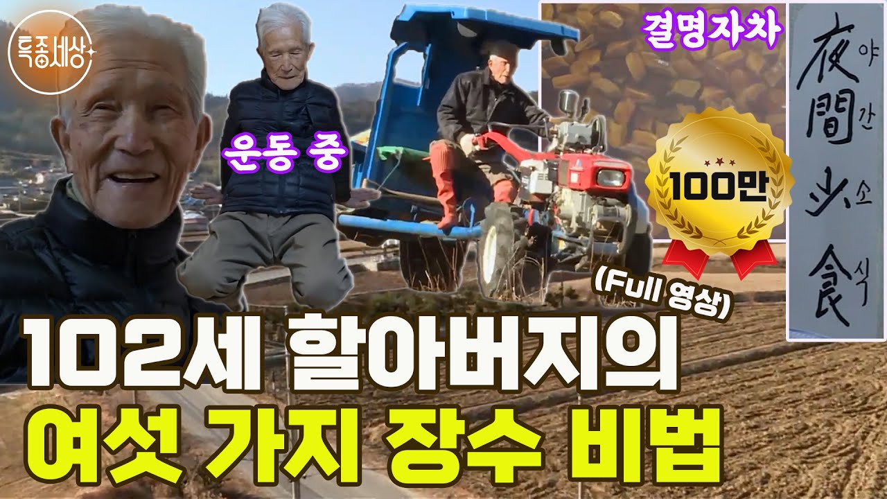[특종세상] 지치지 않는 체력! 걸어다니는 동의보감! 102세 할아버지의 여섯 가지 장수 비법은? MBN 190201 방송 [Full영상]