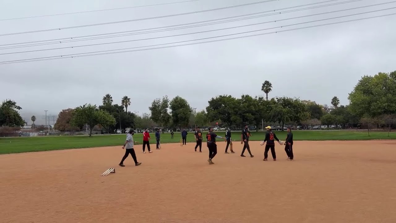CricBay: Almaden CC v Alpha Lions