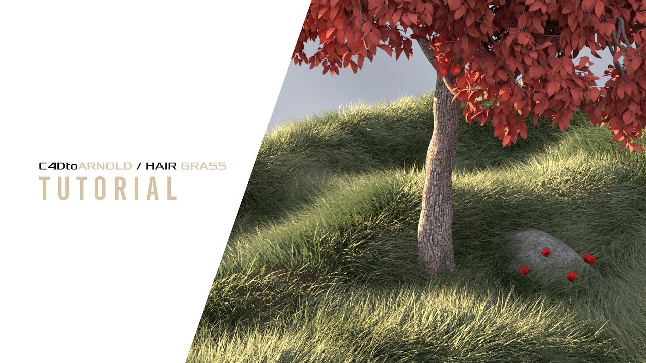C4DtoArnold   Hair Grass Tutorial