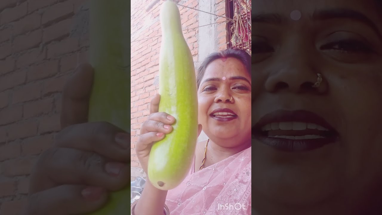 Apne ghar ki lokki