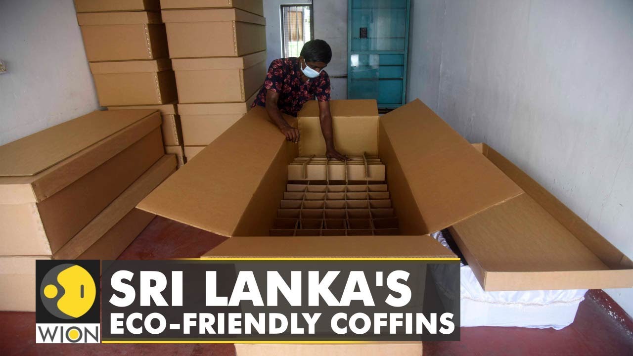 Sri Lanka turns to affordable cardboard coffins | Eco-friendly coffin costs around $22 | World News