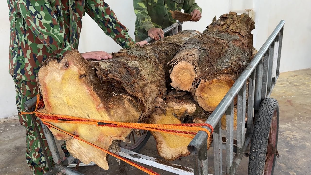 Amazing Idea Of Recycling Wood From 200-Year-Old Antique Tree Stumps: Brilliant Woodworking Ideas!