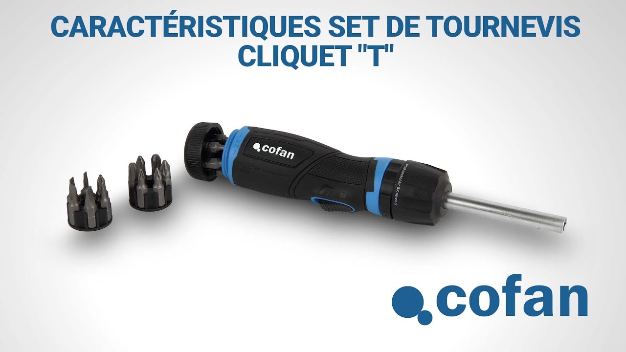 Caractéristiques set de tournevis cliquet 