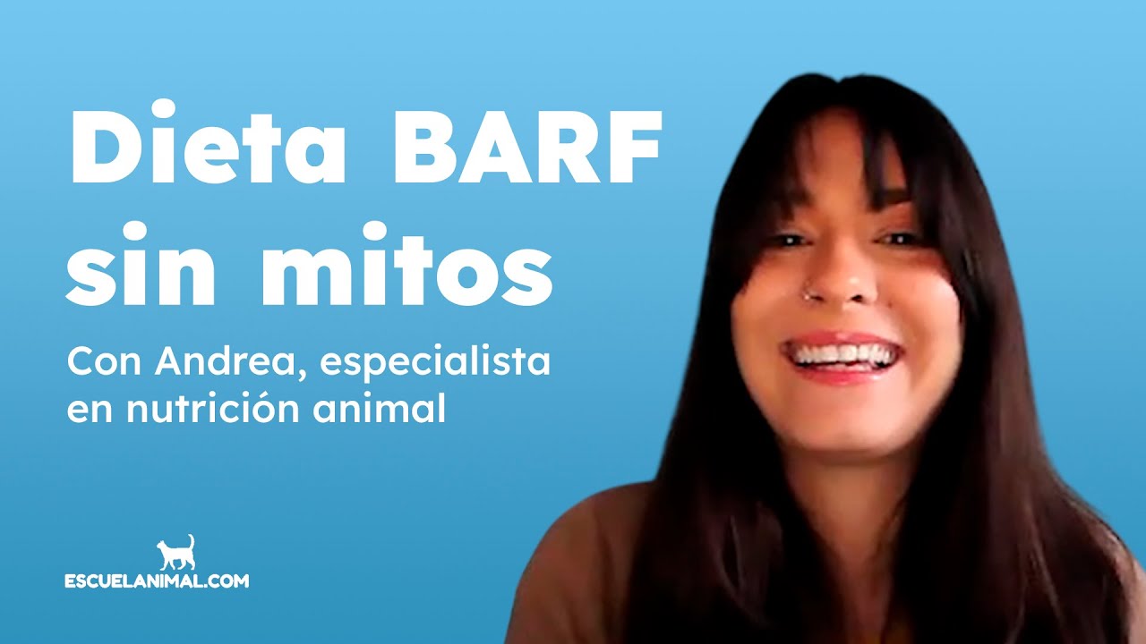 Dieta BARF en perros y gatos: bases, transición y consideraciones nutricionales