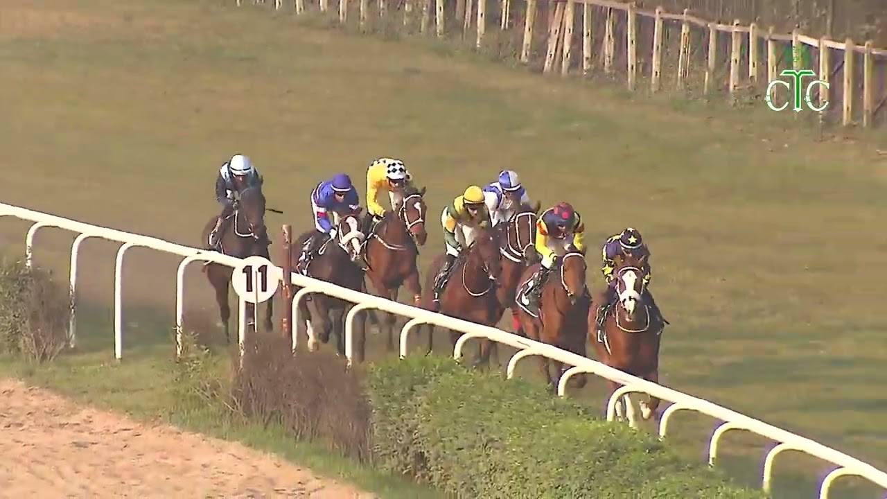 DUKE OF TUSCANY wins The Indian Champion Cup (Gr.1)