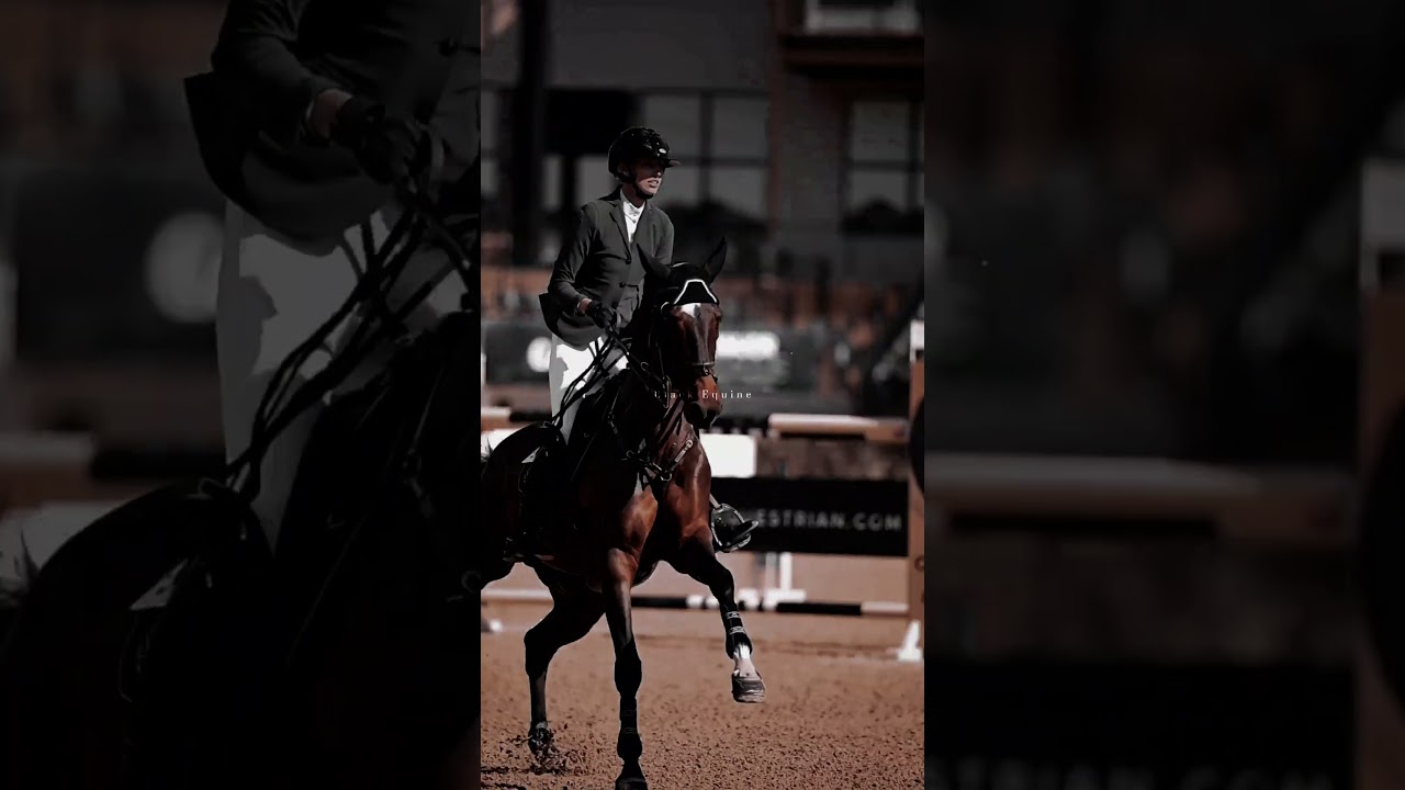 Unforgettable 🔥 #edit #viral #youtubeshorts #tiktok #horse #equestrian #animals #music