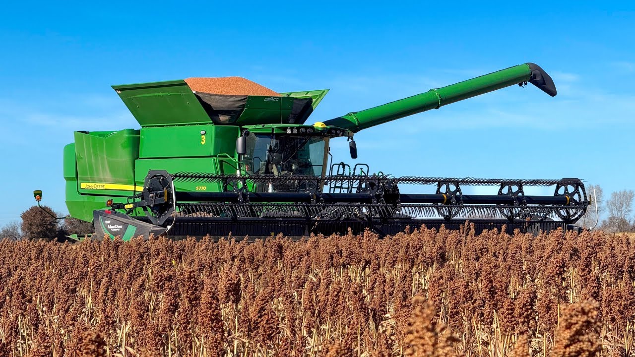 Last Day of Milo Harvest