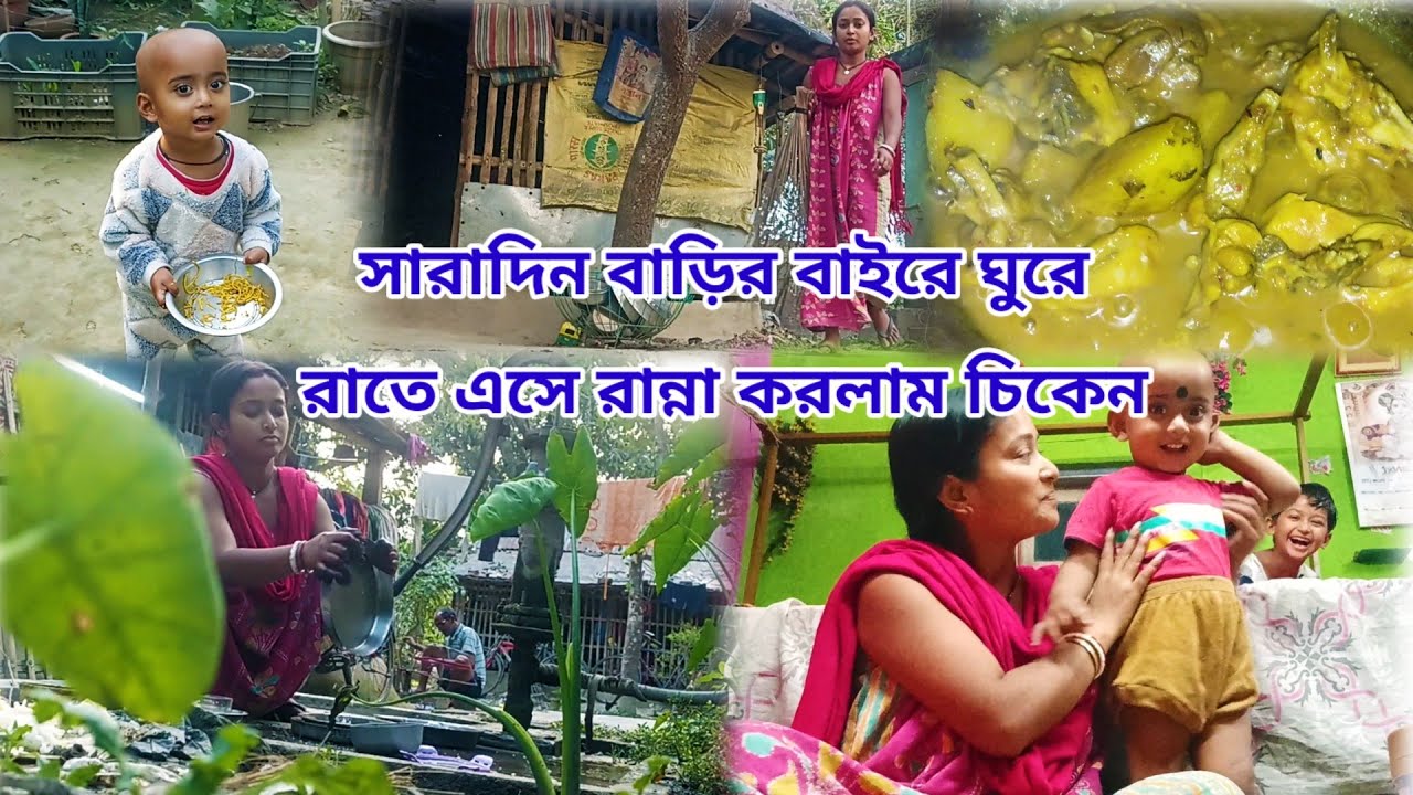 দরকারী কাজে বাড়ির বাইরে থেকে ও কাজ মিটলো না #vlog #lifestyle @Bantislifestyle 