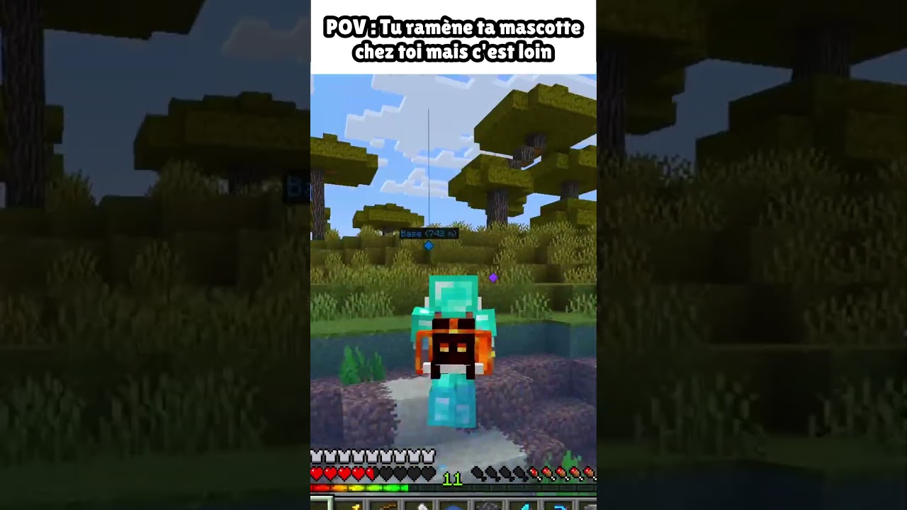 POV : Tu ramène ta mascote 