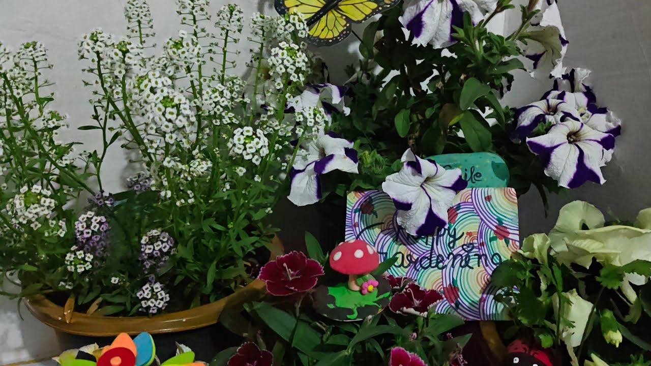 good evening all friends welcome to my live please saport 🙏