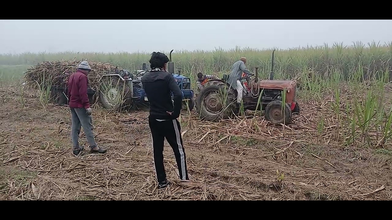 What's happen in raining 🌧 season 🤔 👀 in field 