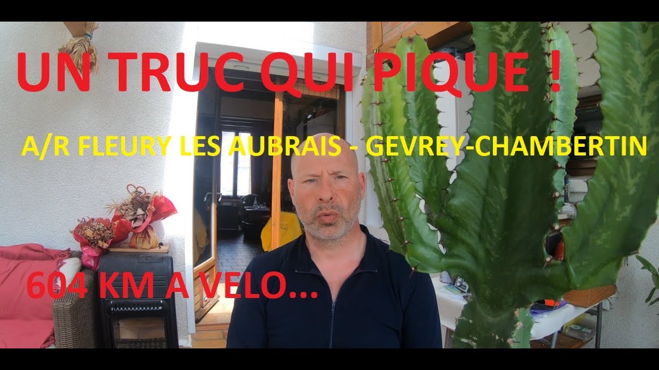 Un A/R Fleury Les Aubrais /Gevrey-Chambertin : 604 km à vélo en 2 jours