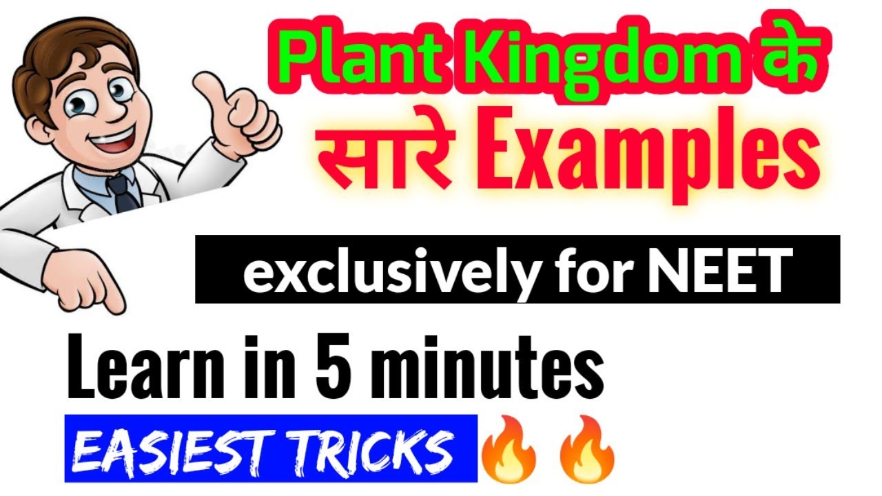 Super Tricks To Learn All 