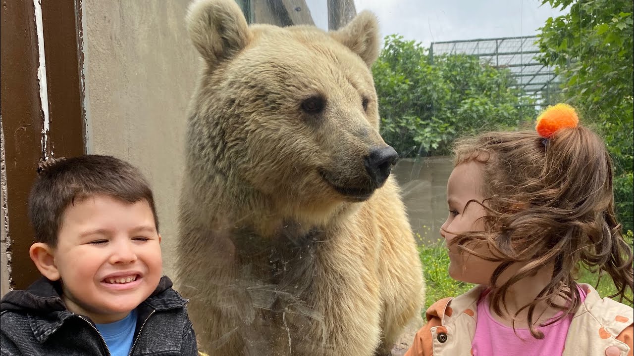 Darıca hayvanat bahçesi vlog | Kocaeli Faruk Yalçın Zoo  #hayvanatbahçesi #zoo #darıca