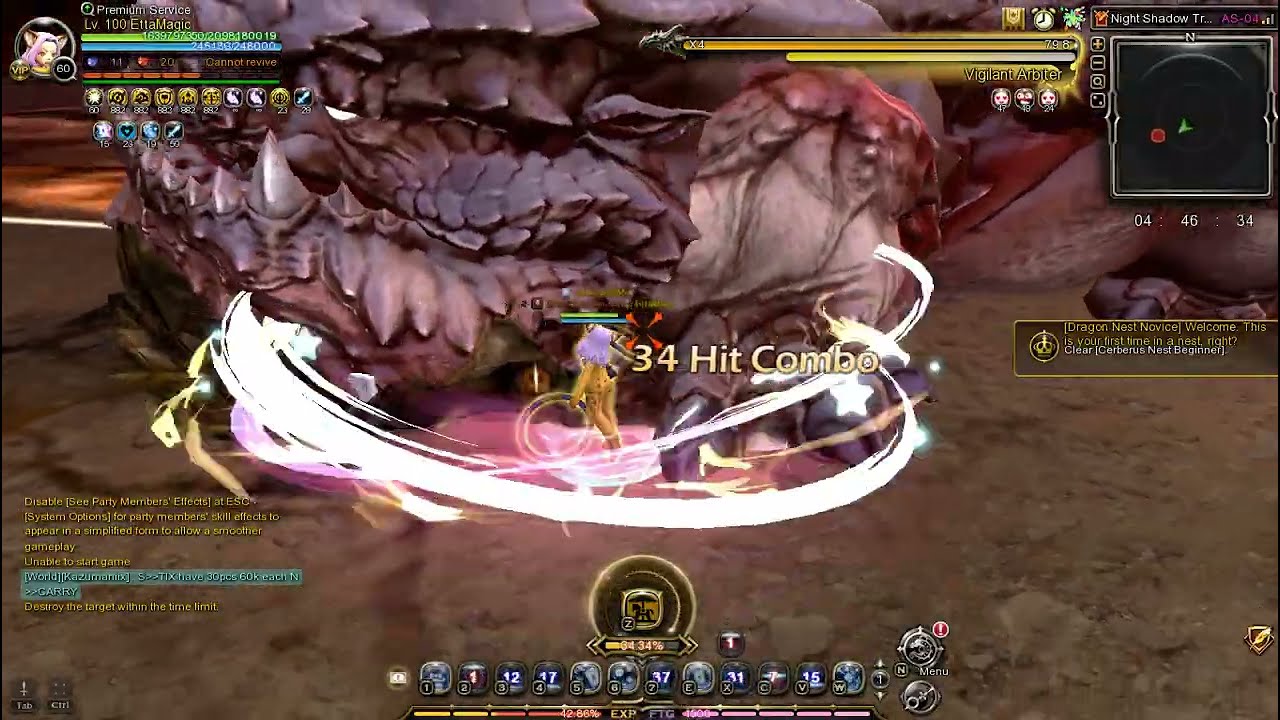 Dragon Nest SEA / Ringmaster POV / Ultimate + DDJ build