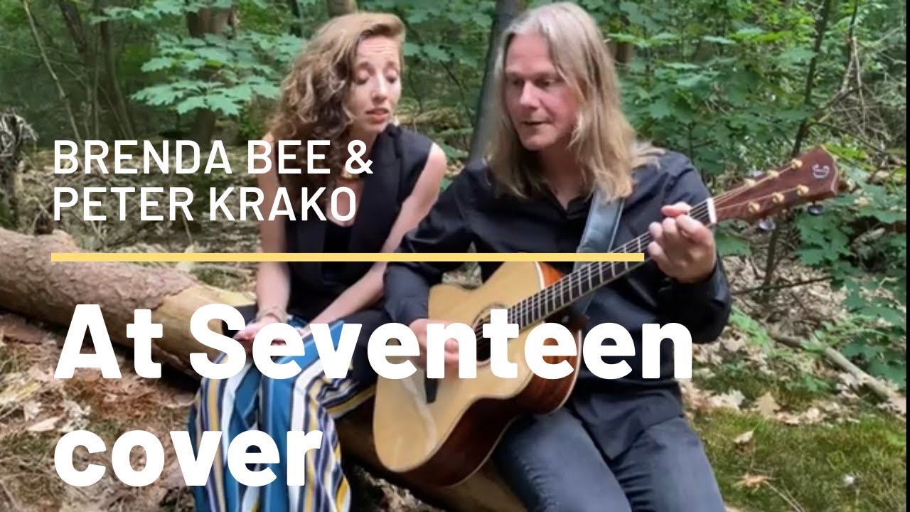 At seventeen - Janis Ian cover | Brenda Bee & Peter Krako