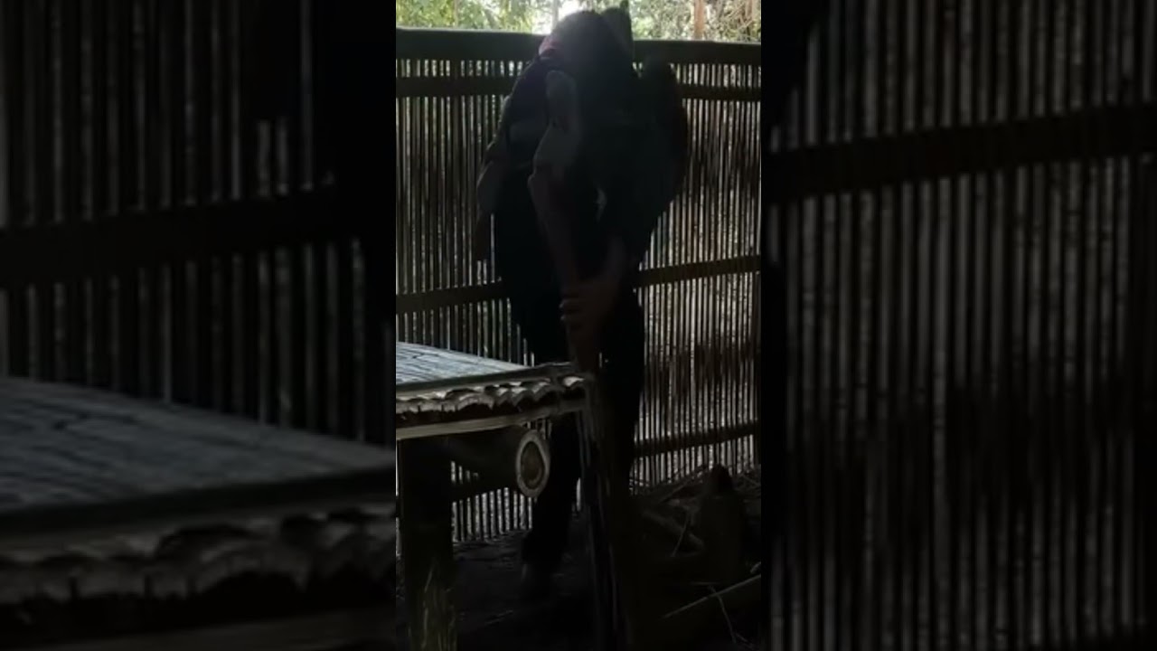 Nothing but Courage – A Mother’s Daily Fight 