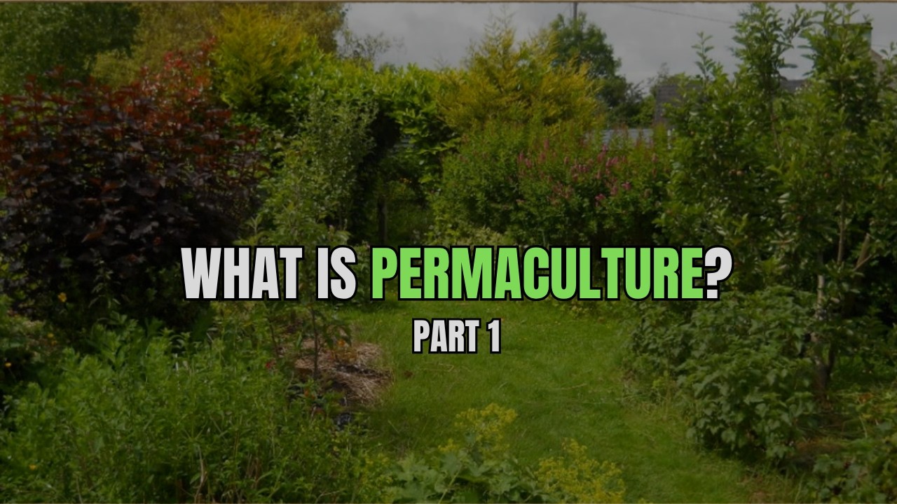 Permaculture Part 1 of 4 Principles and Ethics
