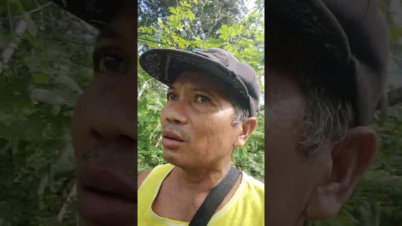 Ampalaya problem 1