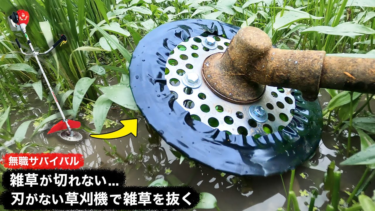 【無職サバイバル】雑草が切れない...刃がない草刈機で雑草を抜く【限界集落で無職になる＃54】