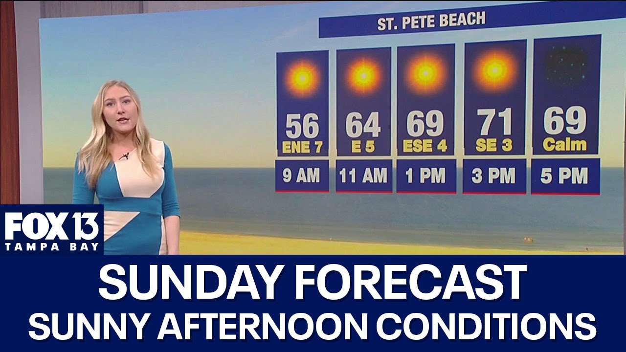Tampa weather | Sunny in the afternoon Sunday