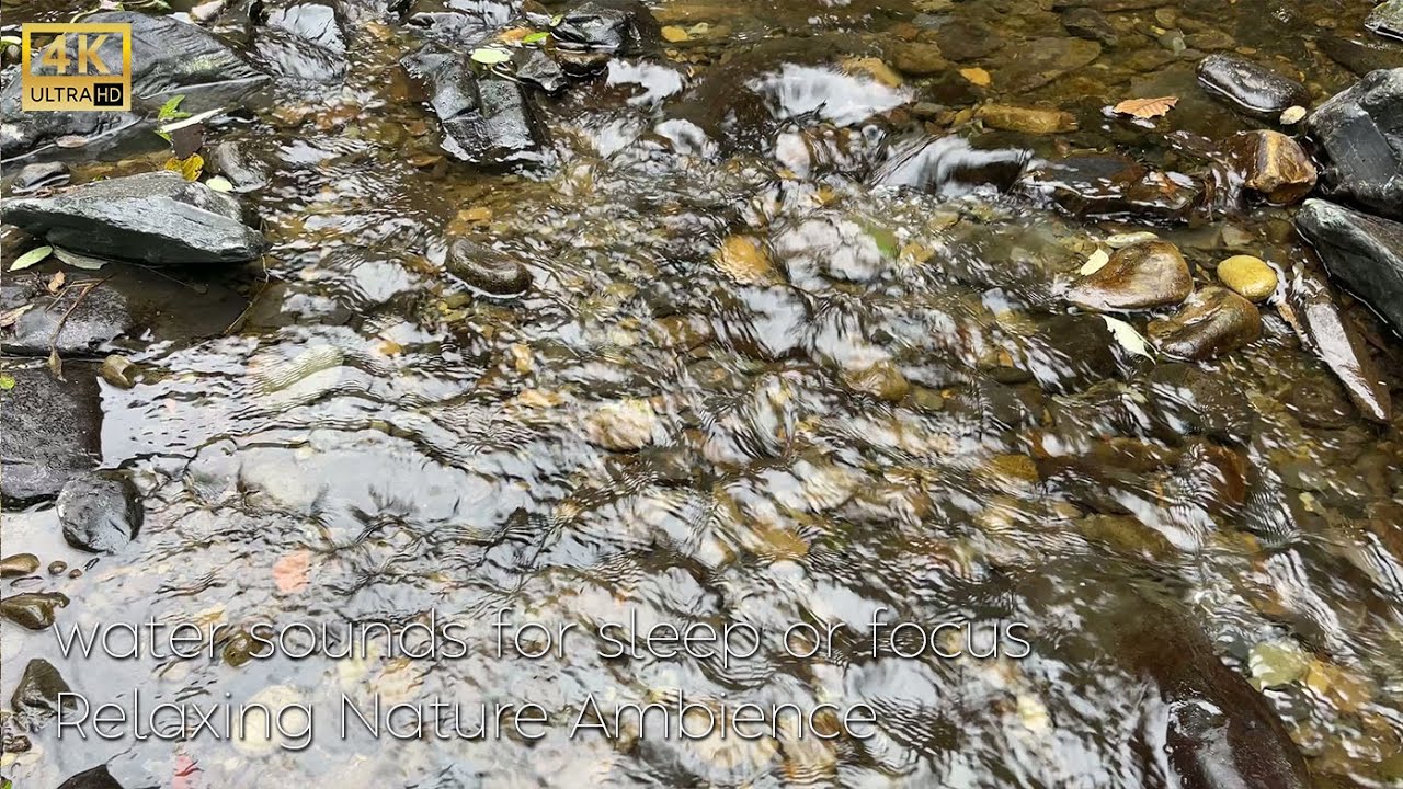 forest stream sounds for sleeping | Pure Flowing Water, No Birds | White Noise for Sleep#stream